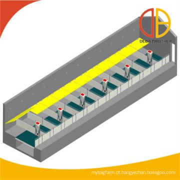 Nós podemos fornecer o design profissional para sua fazenda de porcos